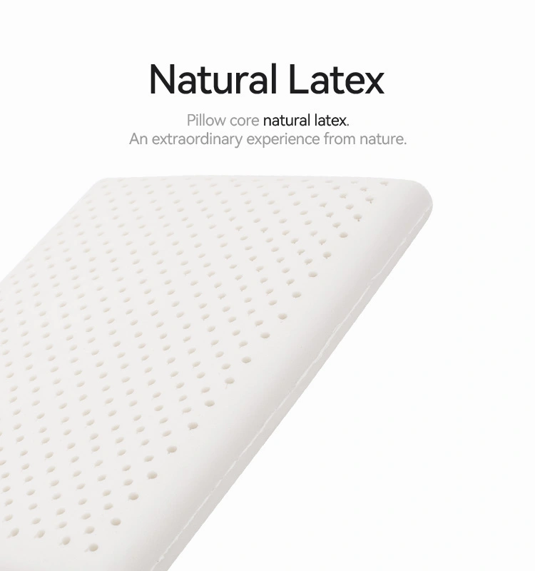 Medium Soft Latex Bread Pillow