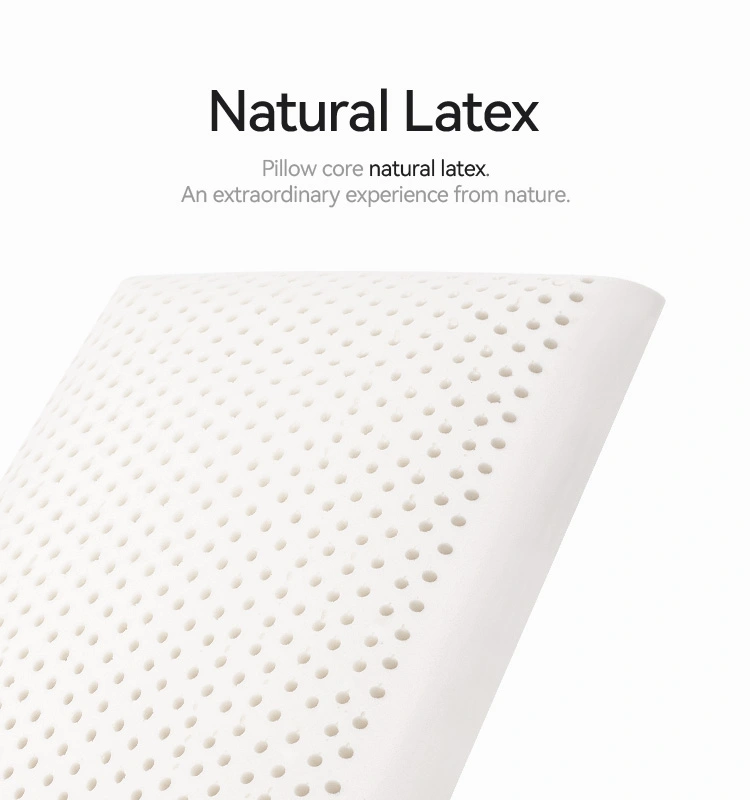 Standard Thickness Latex Bread Pillow